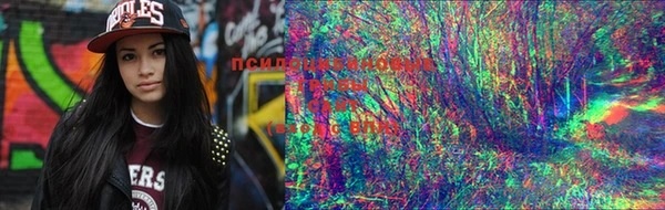 марки lsd Аркадак
