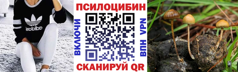 Псилоцибиновые грибы GOLDEN TEACHER  Сим 